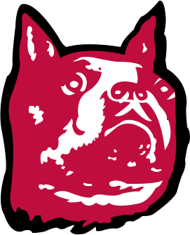 Boston University Terriers 1960-1980 Primary Logo diy iron on heat transfer